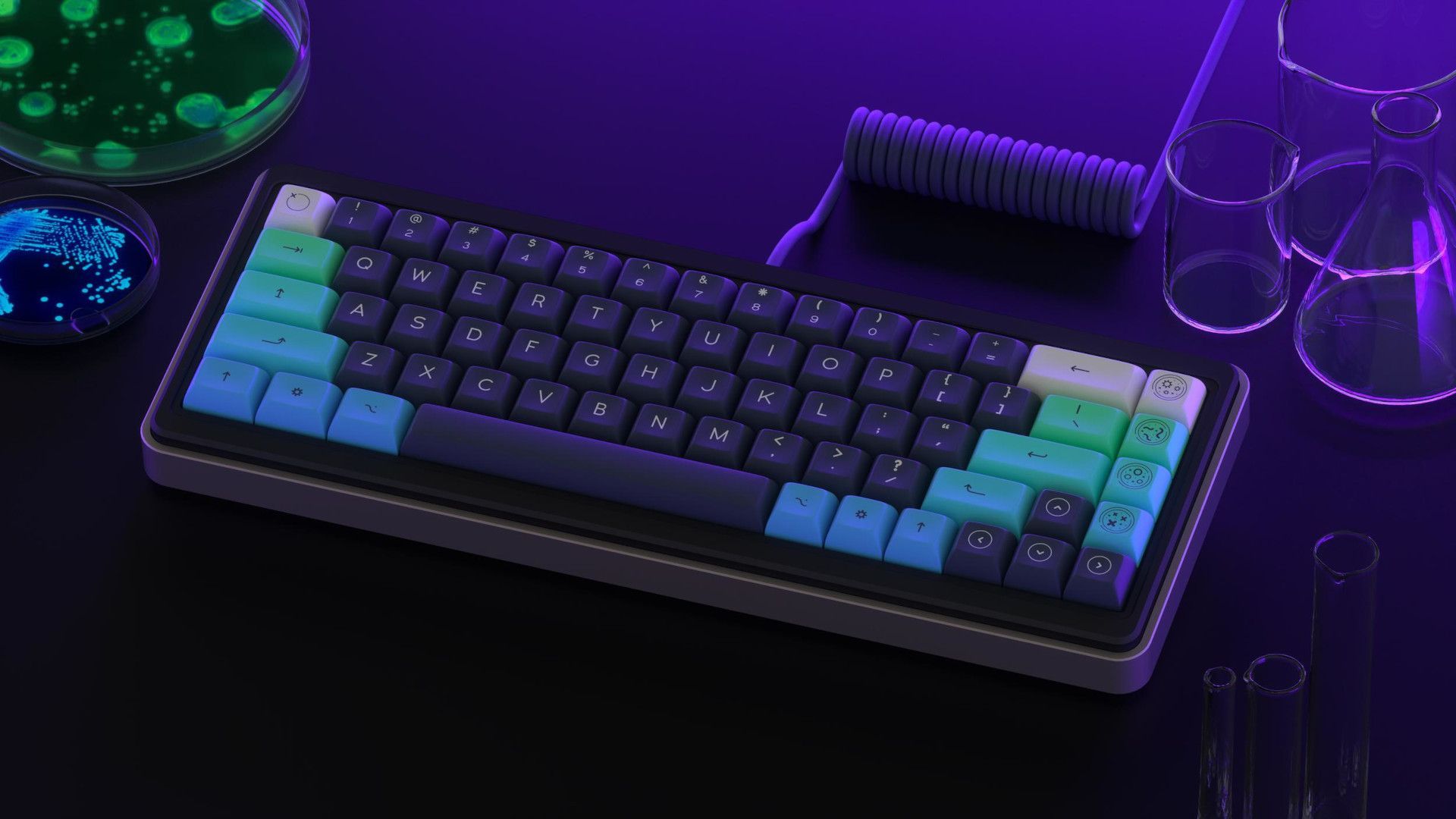 DSA PetriKeys