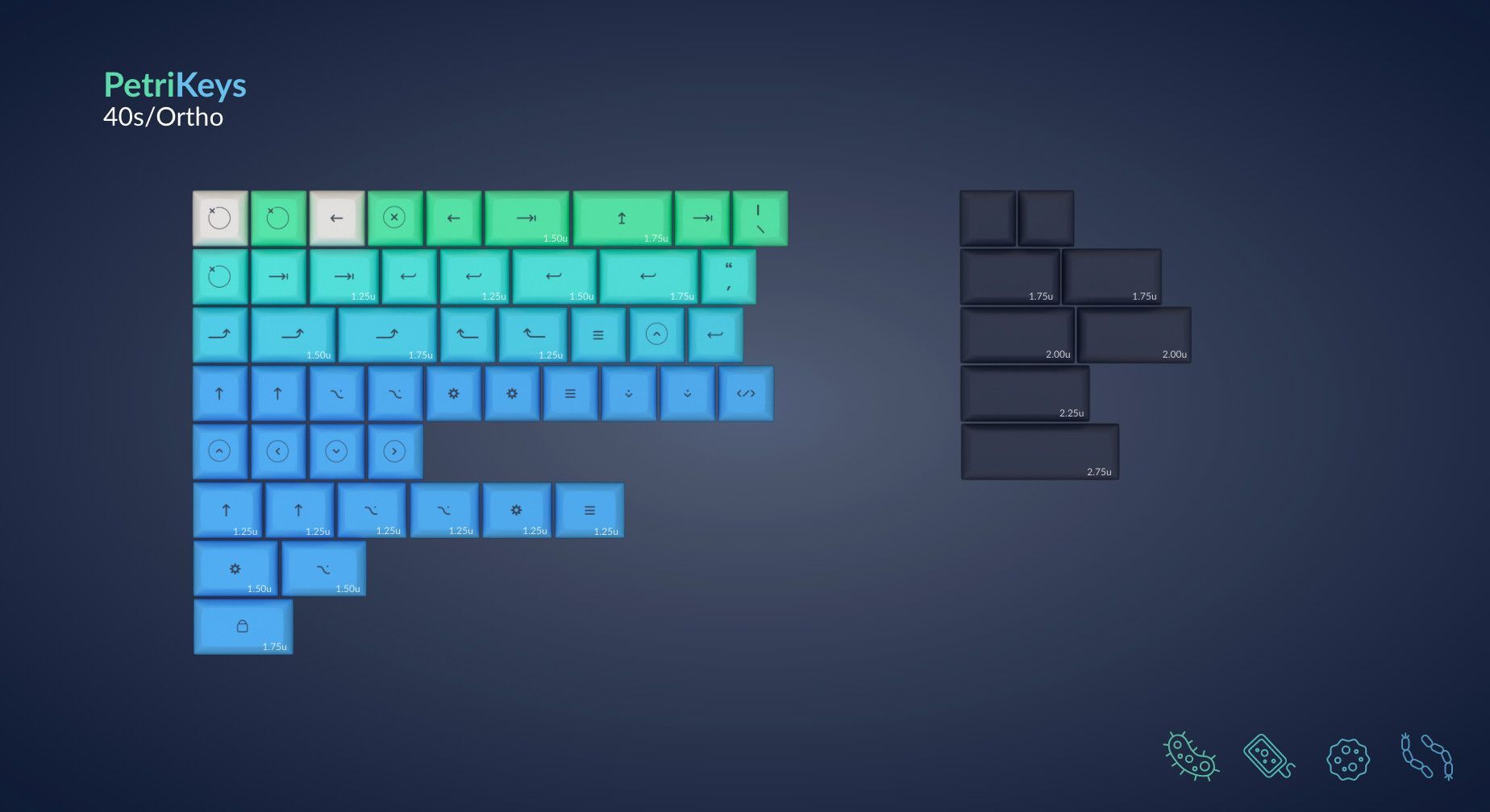 DSA PetriKeys - 40%/Ortho